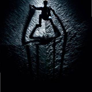 Spider-Man iPhone 11 wallpaper