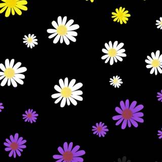 Non binary flag wallpaper