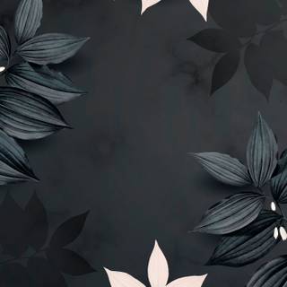 Vector black wallpaper
