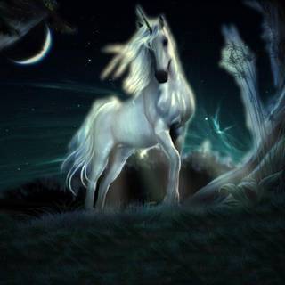 Magic horse wallpaper