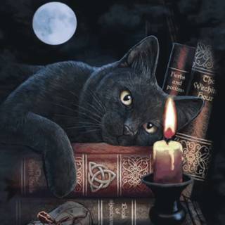 Witch cat wallpaper