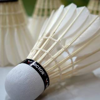 Shuttlecock wallpaper