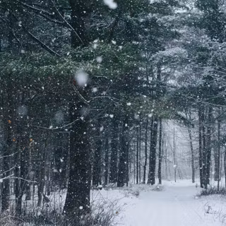 HD winter snow wallpaper