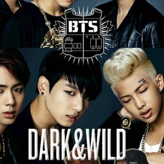 BTS Dark and Wild wallpaper