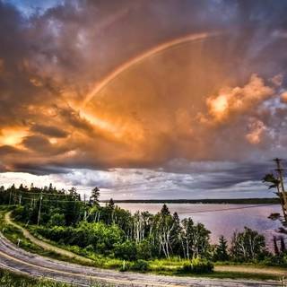 Rainbow road wallpaper