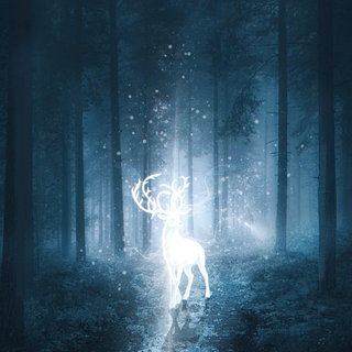 Harry Potter Patronus wallpaper