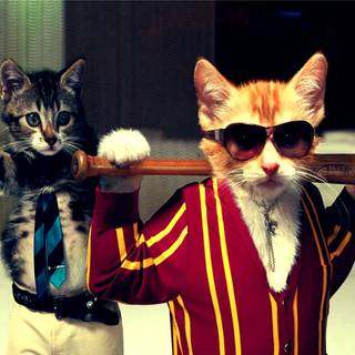 Funny moments wallpaper