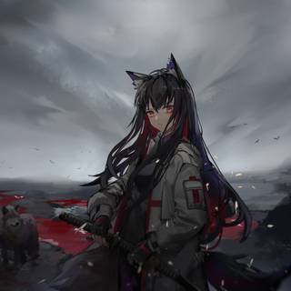 Texas Arknights wallpaper