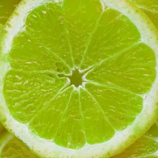Lemon green wallpaper