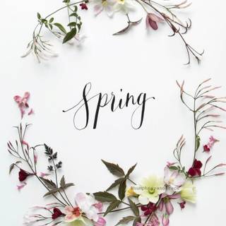 Spring aesthetic girly wallpaper