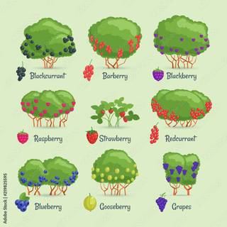 Garden cartoon wallpaper