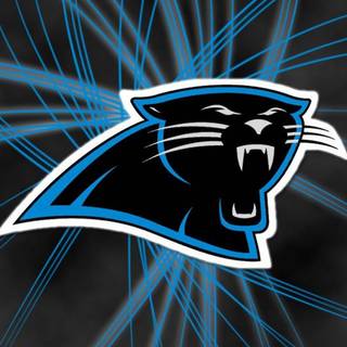 Carolina Panthers 2022 wallpaper