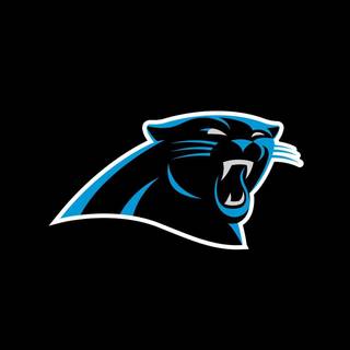 Carolina Panthers 2022 wallpaper