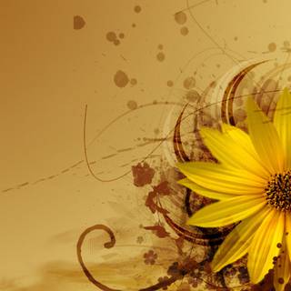 Windows 7 flowers wallpaper