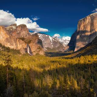 Park landscape wallpaper