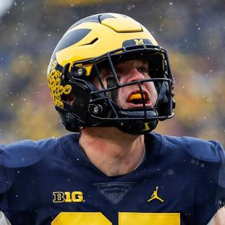 Tom Brady Michigan wallpaper