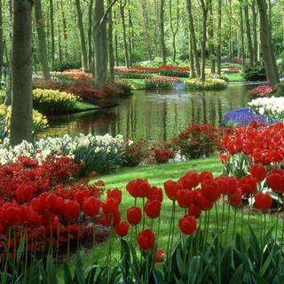 Mystical spring flowers wallpaper