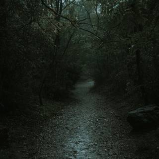 Scary places wallpaper