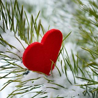 Hearts in the snow wallpaper