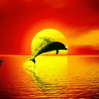 Sunset 4k photography wallpaper