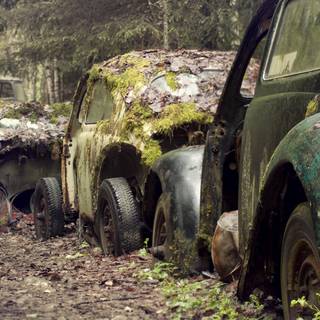 Car graveyard wallpaper