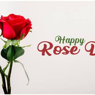 2022 Valentine's Week Days wallpaper