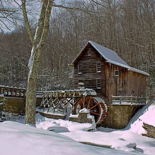 Winter Virginia wallpaper