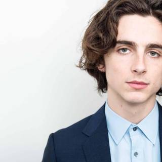 Timothee Chalamet PC wallpaper