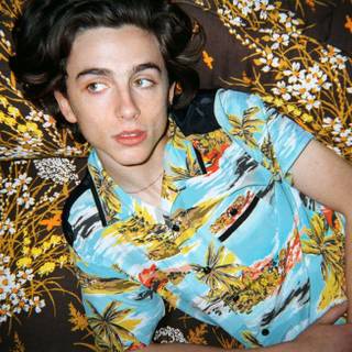 Timothee Chalamet PC wallpaper