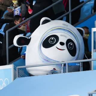 Bing Dwen Dwen and Shuey Rhon Rhon wallpaper