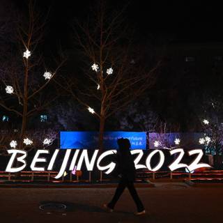 Bing Dwen Dwen and Shuey Rhon Rhon wallpaper