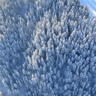 HD winter view wallpaper