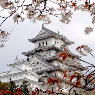 Japanese architecture wallpaper