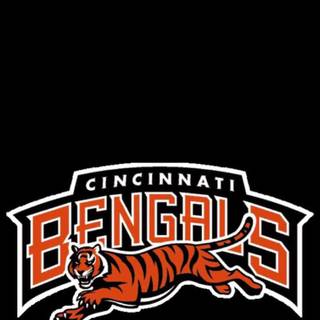 Cincinnati Bengals 2022 wallpaper