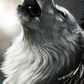 Wolves and cats wallpaper