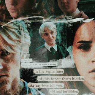 Hermione and Draco wallpaper