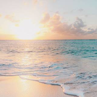 2022 cute summer wallpaper