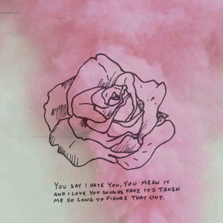 The Front Bottoms wallpaper