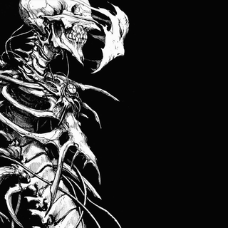 Dark skeleton wallpaper