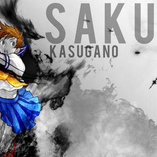 Sakura Street Fighter wallpaper
