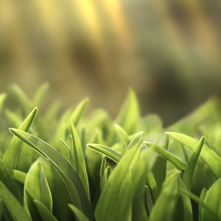 Eye protection wallpaper