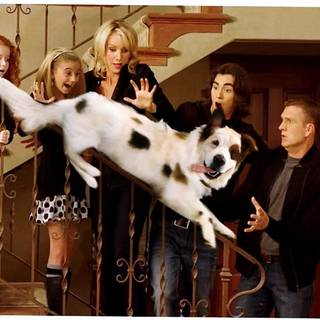 Dog With a Blog wallpaper