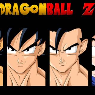 Goku and Bardock wallpaper