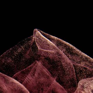 Sony Xperia PRO-I wallpaper