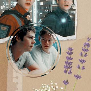 Newtmas wallpaper