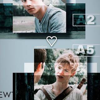 Newtmas wallpaper