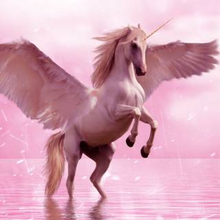 Unicorn laptop wallpaper