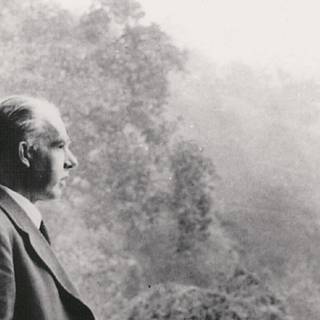 Niels Bohr wallpaper