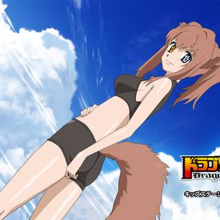 Dragon Crisis! wallpaper