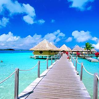 Colourful nature wallpaper